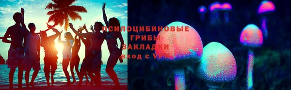 гидра Вязники