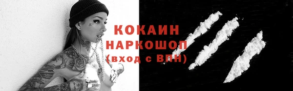 гидра Вязники