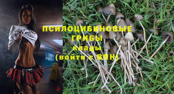 кокаин перу Вяземский