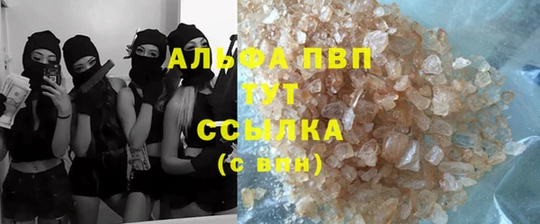 гидра Вязники